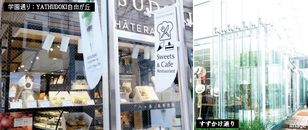 学園通り・すずかけ通り｜ザ・パークハウス自由が丘ディアナガーデン