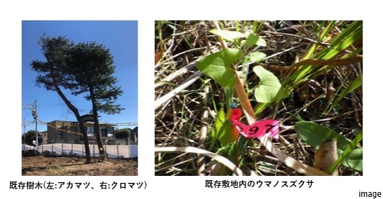 既存樹木｜ザ・パークハウス自由が丘ディアナガーデン